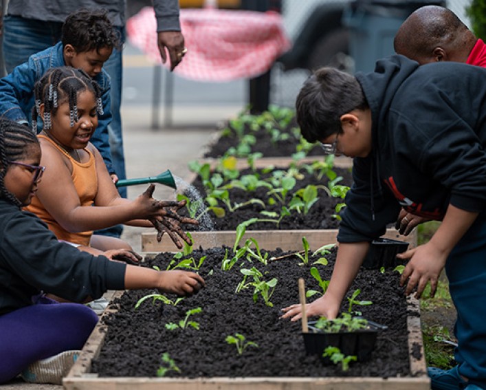 Children planting a vegetable garden