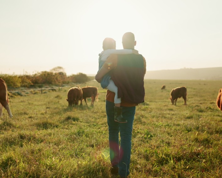 A person holds a child and stands in a field with cows grazing nearby