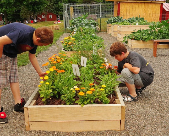 camp garden