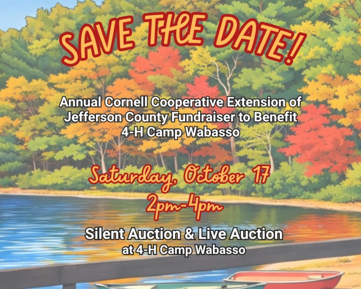 save the date info