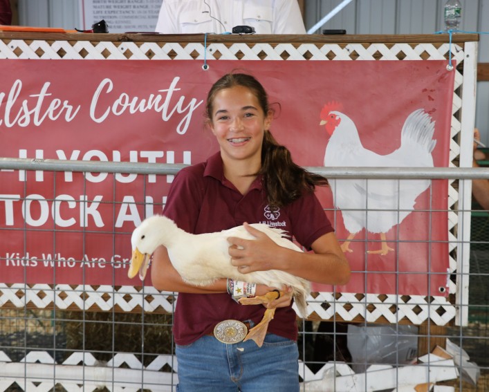 A 4-H'er holding a white duck at the Ulster County 4-H Livestock Auction in 2025.