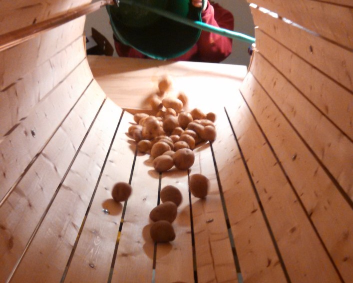 Looking down the length of the inside of a root barrel washer with potatoes being dumped into it.