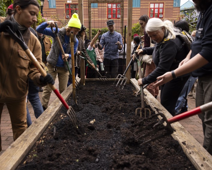 Several people surround a raised bed using garden forks to mix biochar into the soil. 