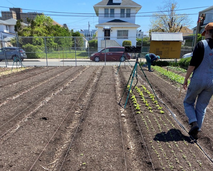 Two farmers work among newly planted seedling rows on an urban farm. Drip irrigation lines run the length of the beds, and residential buildings are visible beyond the chain-link fence in the background.