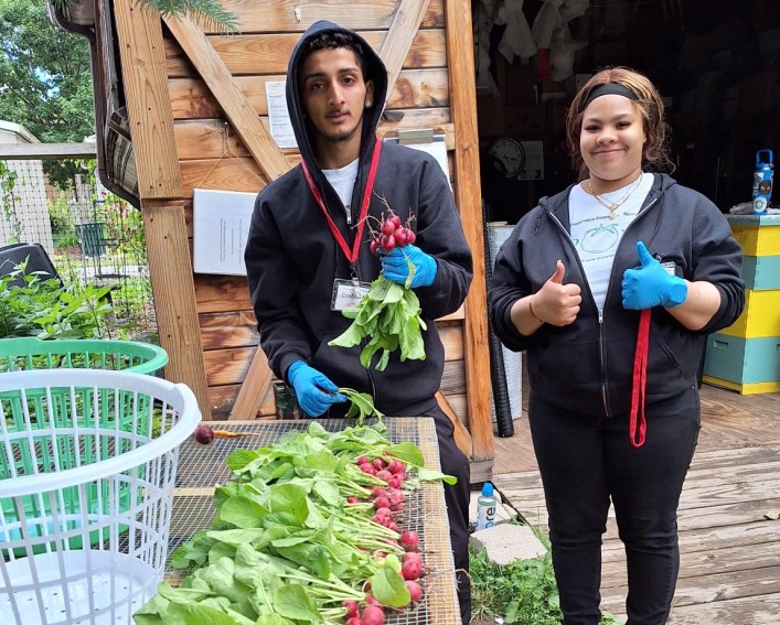 Two people stand near an outdoor produce washing table, each wearing blue nitrile gloves. There is a line of radishes on the table.