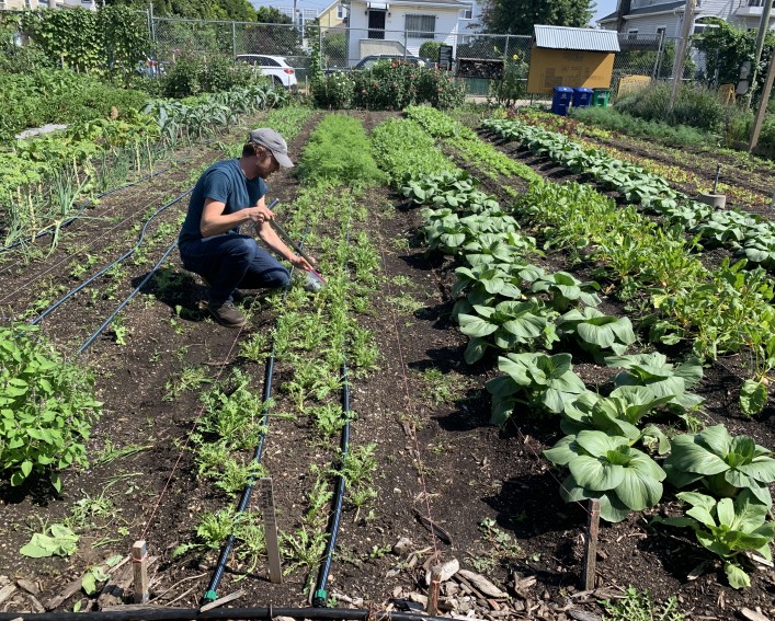 A man crouched down taking a soil sample from an urban farm.