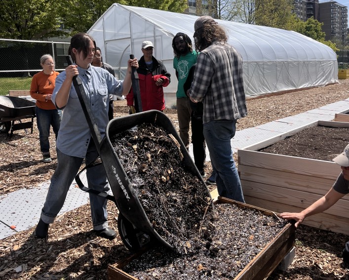 A woman lifting a wheelbarrow that’s filled with soil and spilling into a raised bed. There are 4 other people standing behind her and a greenhouse in the background. 