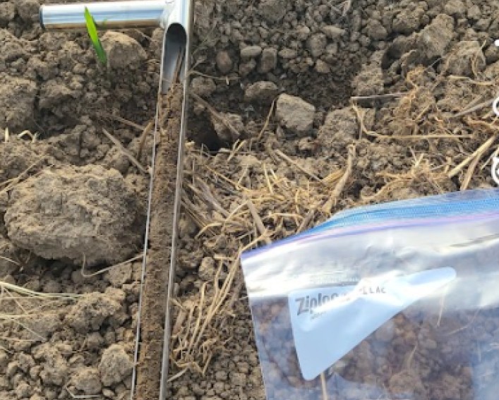 Soil sampling probe filled with soil and a Ziploc bag laying on the soil nearby.