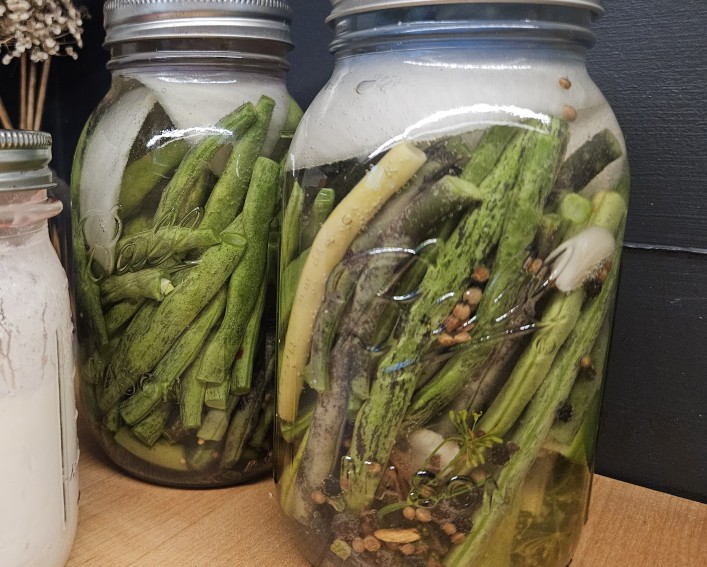 2 Jars of Fermenting Beans