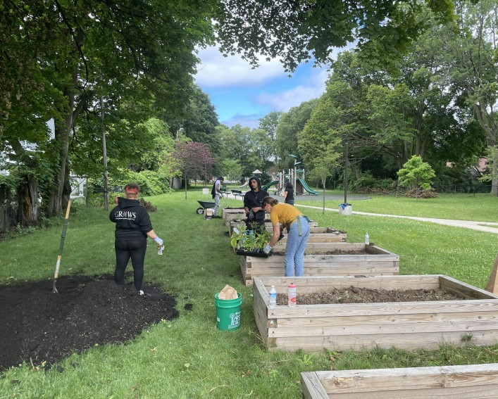 Several wooden raised beds are being planted by a few people. A tray of seedlings is propped on the edge of one of the beds. A playground is in the background.