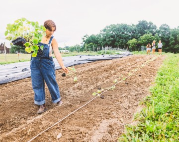 Students planting a garden. 