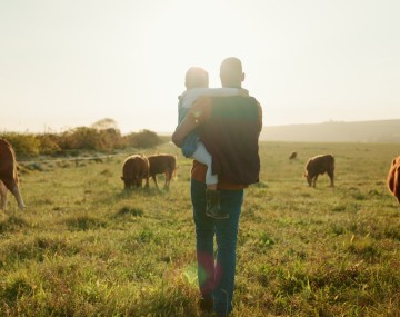 A person holds a child and stands in a field with cows grazing nearby
