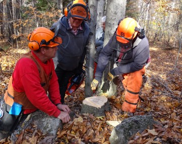Game of Logging program. Three participants looking at the cut of a tree.