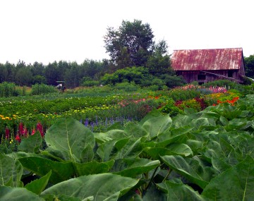 CCE Essex County agriculture