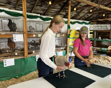 two girls showing chickens at the county fair