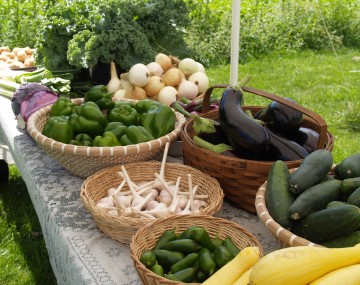 Vegetables in baskets on a table