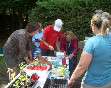Master Gardener Volunteers testing soil