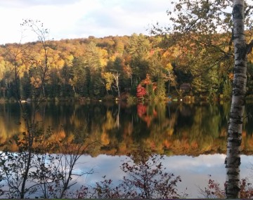 Woods and pond during autumn in upstate New York.