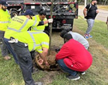 CCE Paraprofessional Program