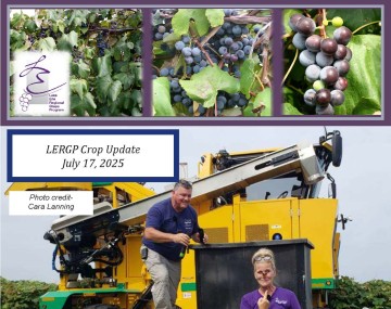 Jenn Russo and Terry Bates on Grape Harvester