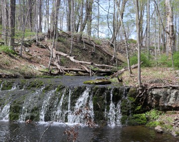 A photo of a small waterfall in early spring in Olivebridge, NY