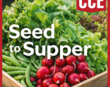 CCE-Catt-seed2supper
