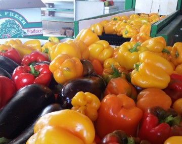 Yellow, orange, and red bell peppers and a few eggplants exiting a produce washer, gathered in a pile at the end of the conveyor. In the background is a cardboard box that says Farm Fresh Quality Produce on the side of it.
