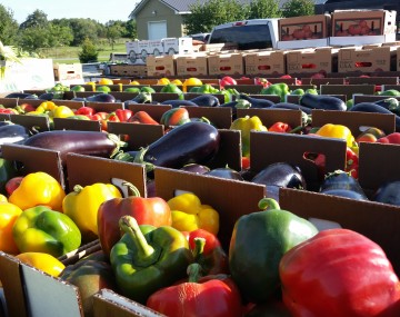 Flat bed wagon covered in boxes of produce waiting to enter a produce auction.