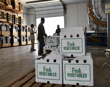 A pallet of white cardboard boxes with ‘fresh vegetables’ printed on them. There are several people near other pallets of boxes. It is a warehouse setting, with the door open to a loading dock in the background.