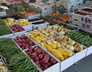 Various vegetable crops in market baskets awaiting purchase at a produce auction.