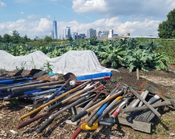 Garden tools laying on pallets along rows of crops on an urban farm.  A city skyline is in the distance.
