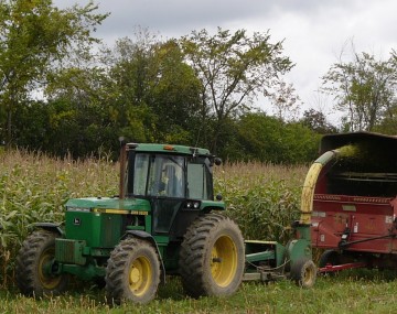 Tractor harvesting corn