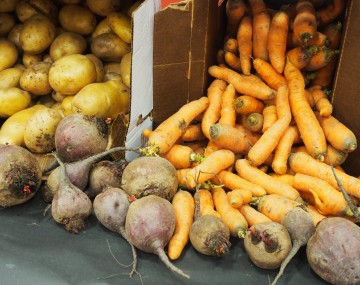 Yellow potatoes, orange carrots, and beets lay on a table.