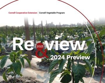 Cover image of the Cornell Vegetable Program 2023 Year in Review report.