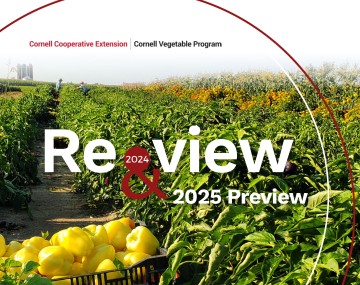 Cover image of the Cornell Vegetable Program 2024 Year in Review and 2025 Preview report.