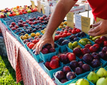 A farmers putting out quarts of fruit
