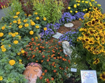 orange, purple, red, and yellow flowers