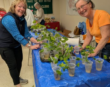 Master gardners planting