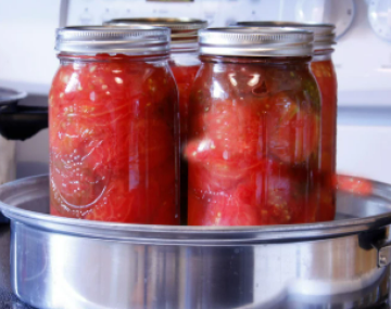 canning tomatoes