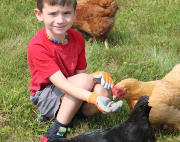 boy with chickens